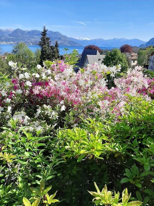 La Finestra Sul Lago - In Villa Con Vista E Posto Auto Coperto ستريزا المظهر الخارجي الصورة